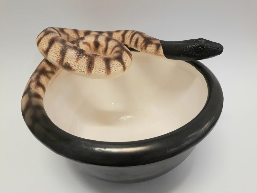 Black Headed Python Bowl