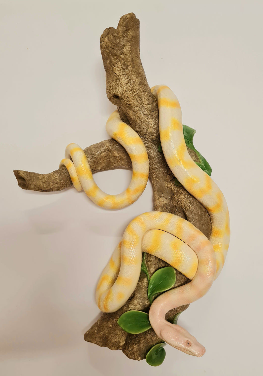 Darwin Albino Python