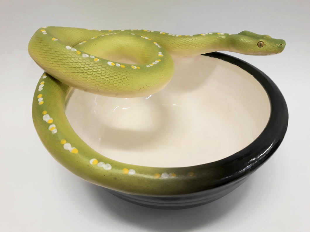 Green Python Snake Bowl