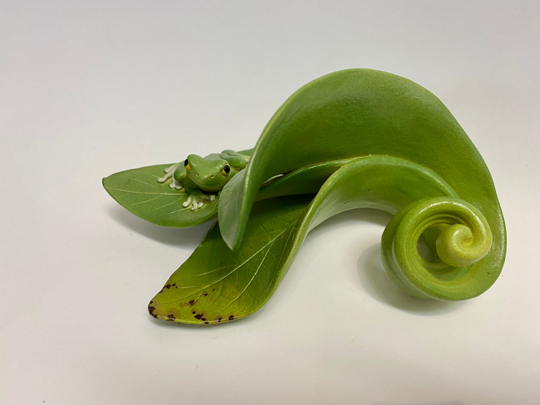 Three Leaf Frog Curl
