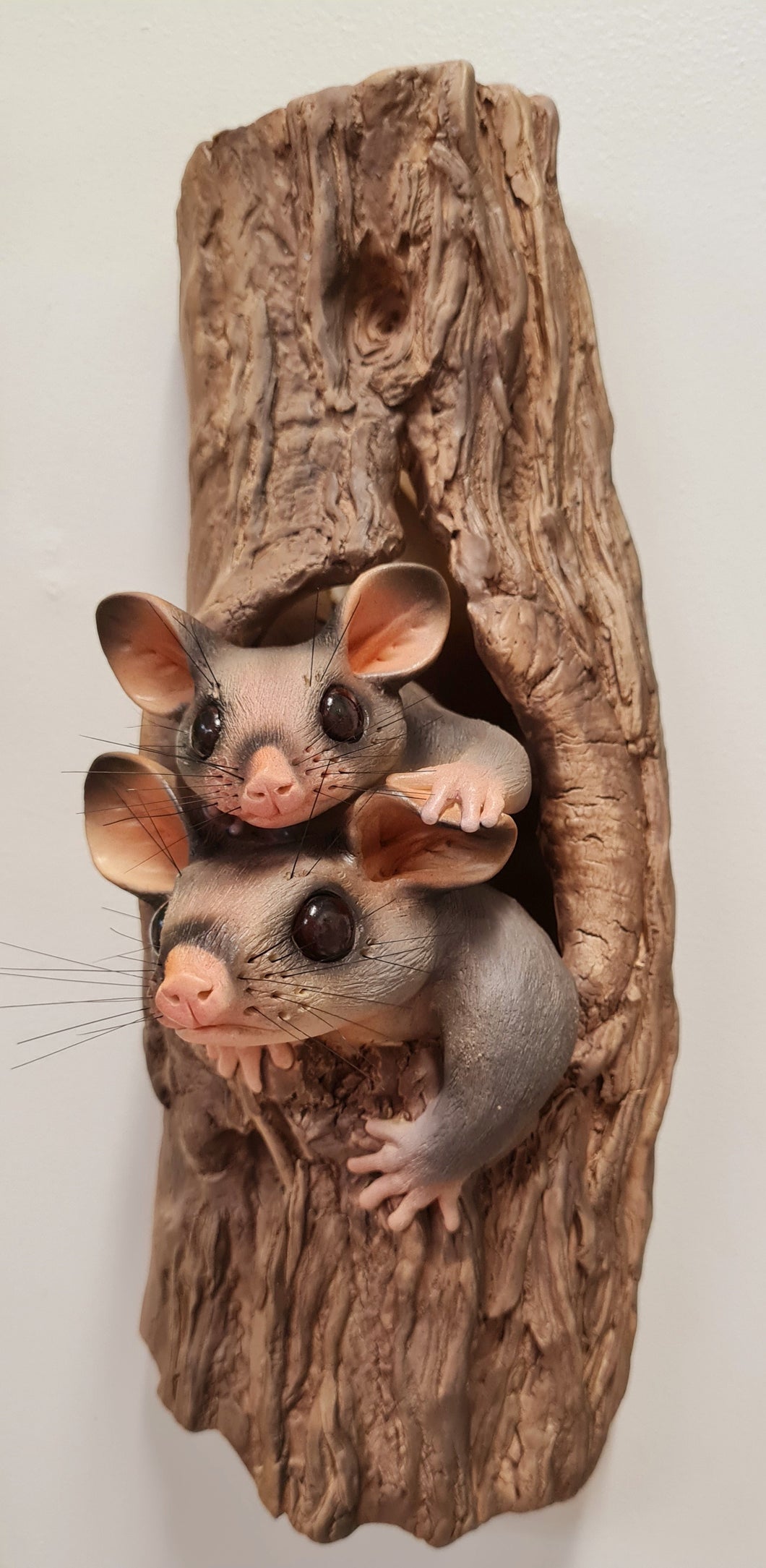 Parental Care- Brushtail Possums