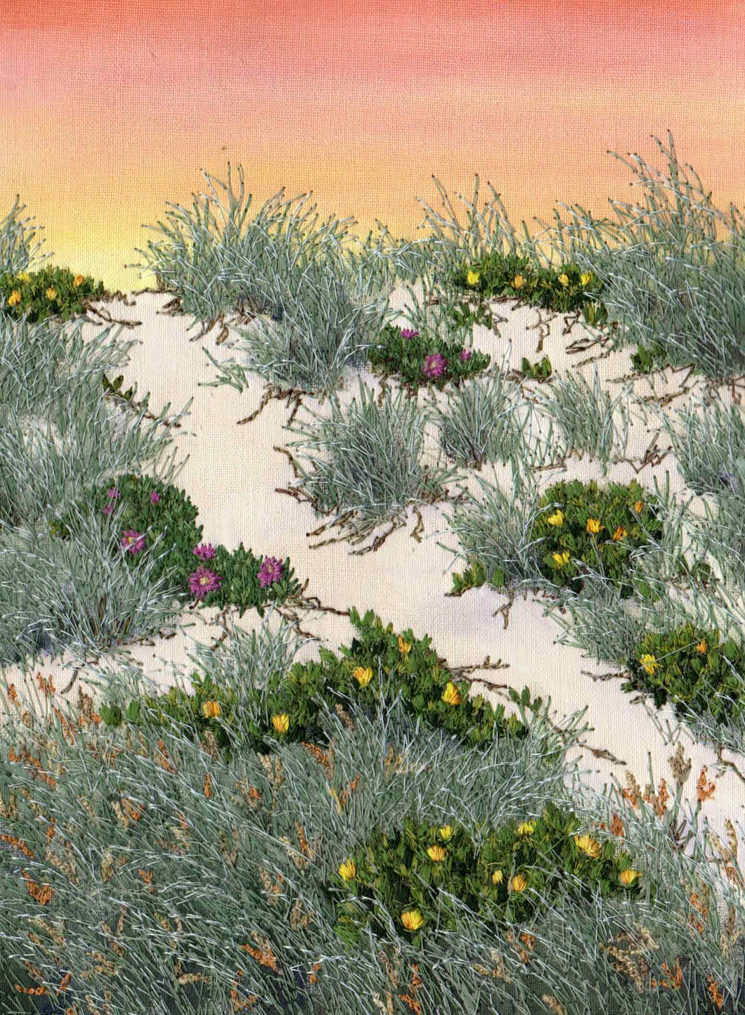 Flora on the High Dune