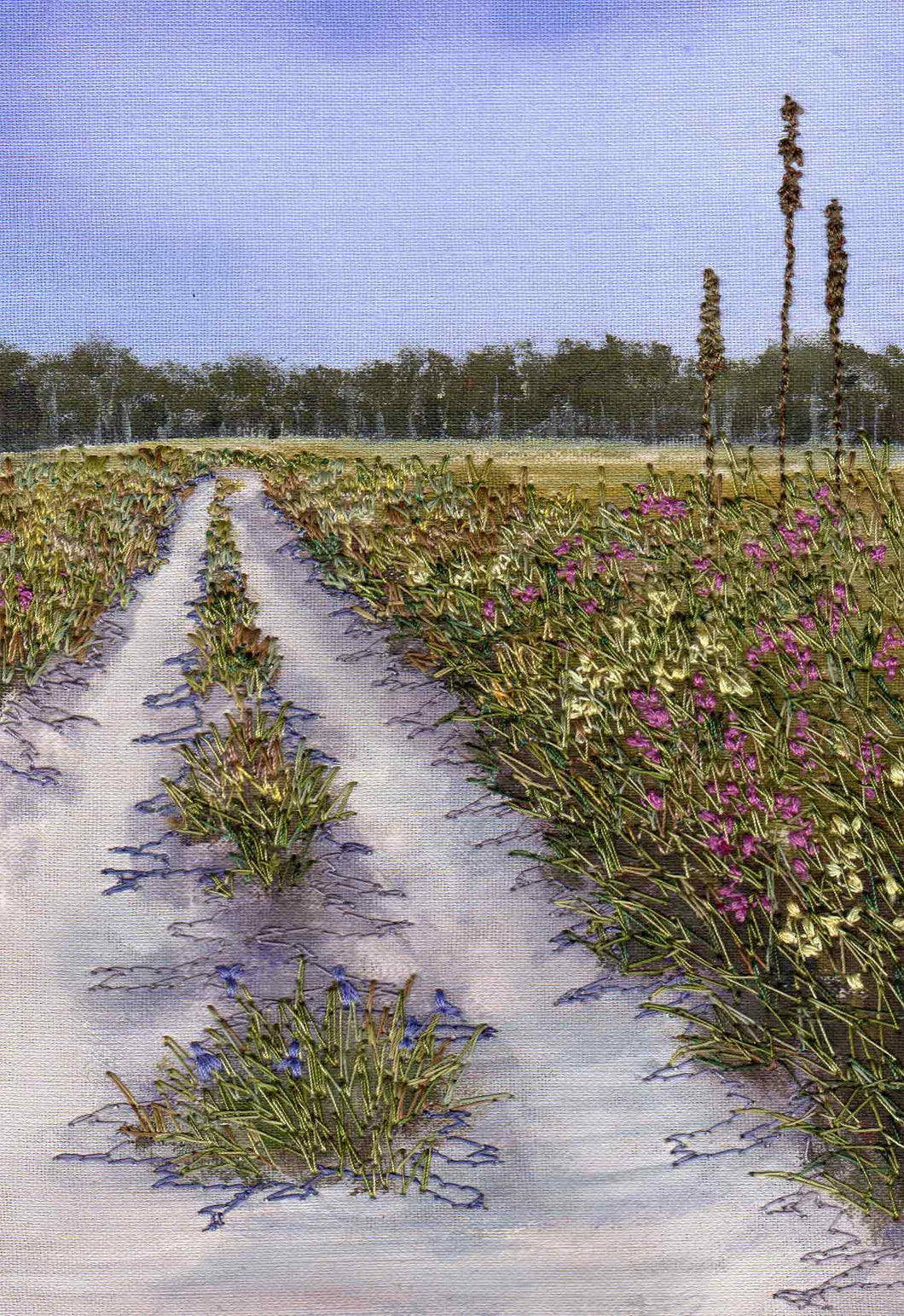 Wildflower Track