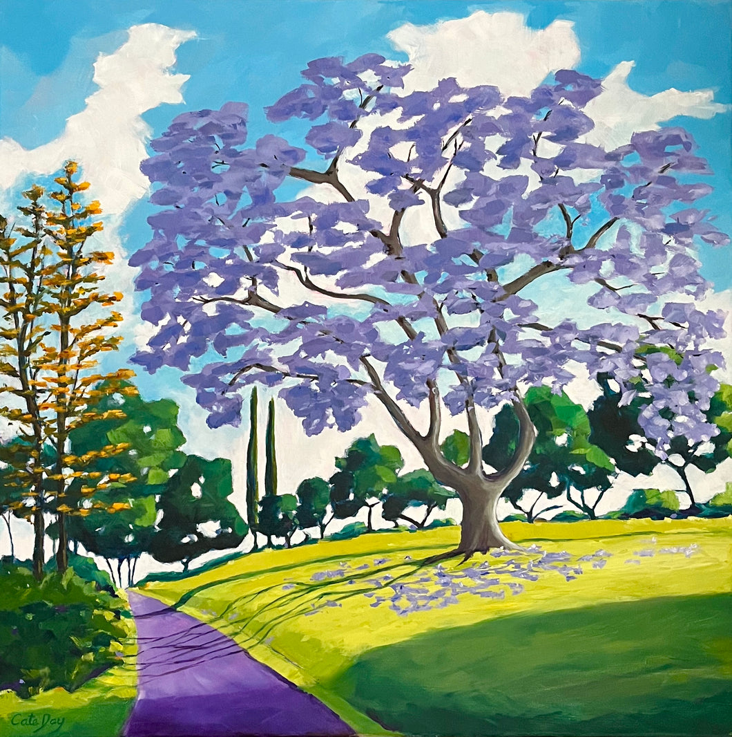 Jacaranda Time, Maleny