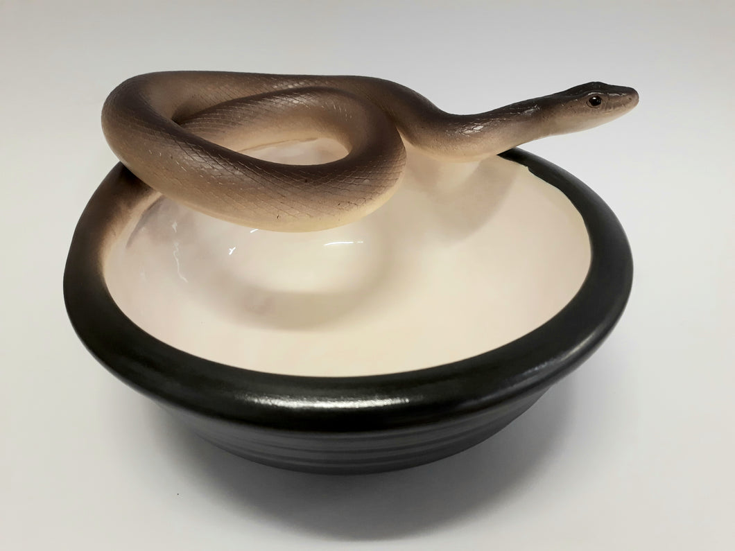 Brown Snake Bowl