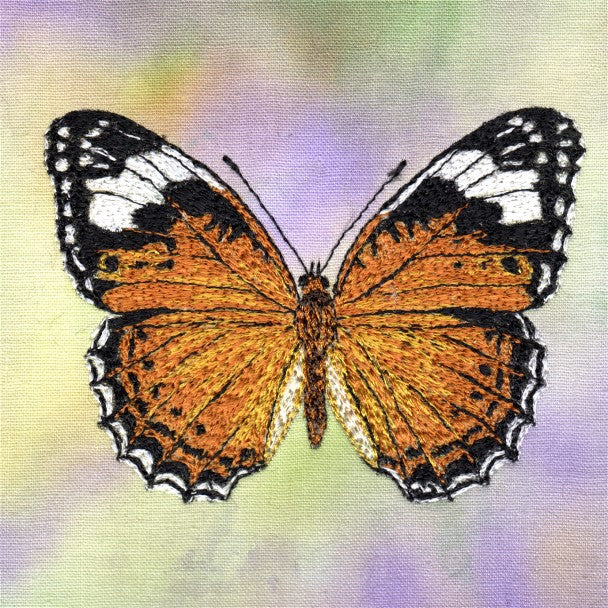 Butterfly Study  1