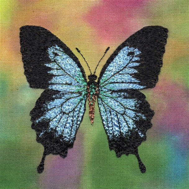 Butterfly Study 7