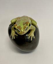 Load image into Gallery viewer, Green &amp; Golden Bell Frog
