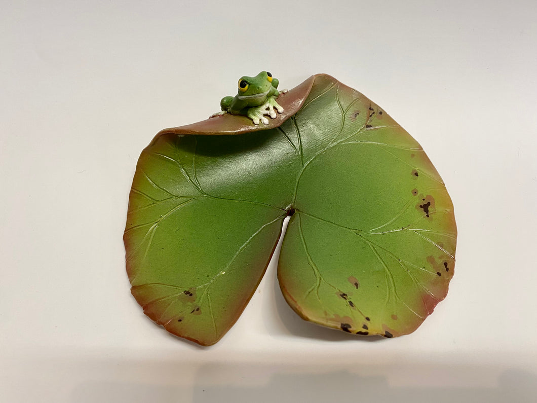 Lily Pad with Frog